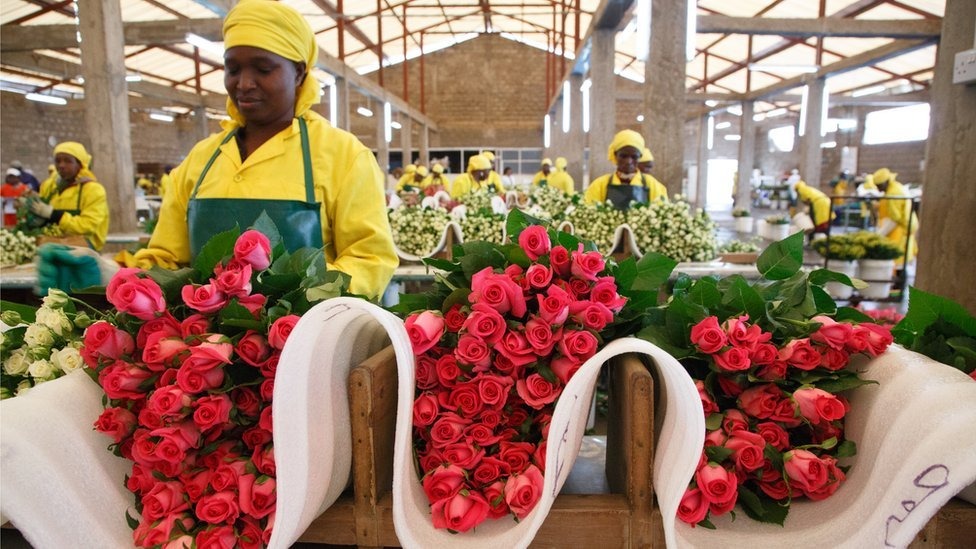 Nawiri Fresh Flowers