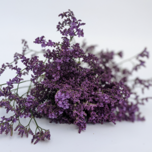 Limonium Flowers