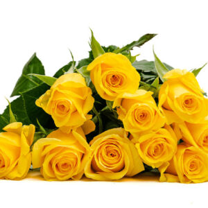 Moonwalk Roses