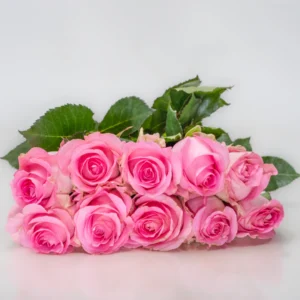 Revival-Rose