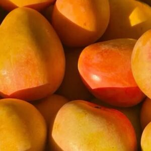 Fresh Mangoes