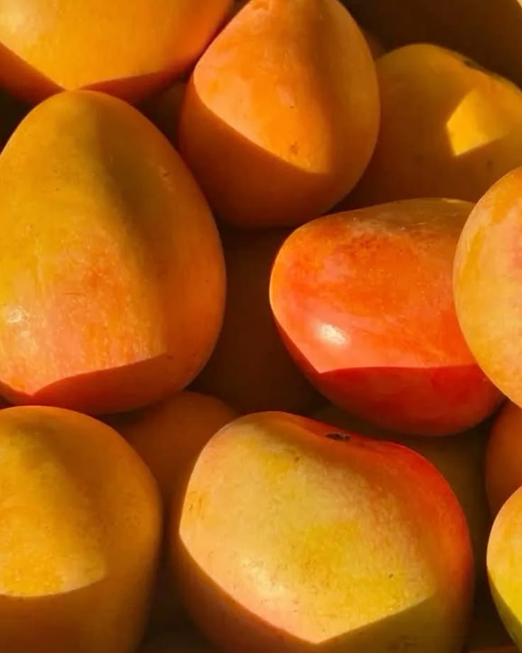 Fresh Mangoes